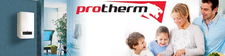protherm-kombi-servisi